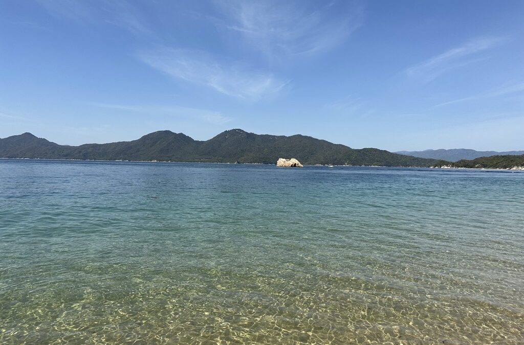 ８／２９〜３１　母なる海へ　アクアフローティング２０２６＠広島江田島