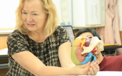 クラニオセイクラル・バイオダイナミクスを学びたい方に
