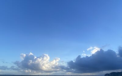 意図を知るには
