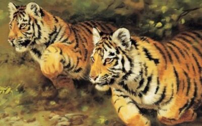 1月限定価格〜SEセッション