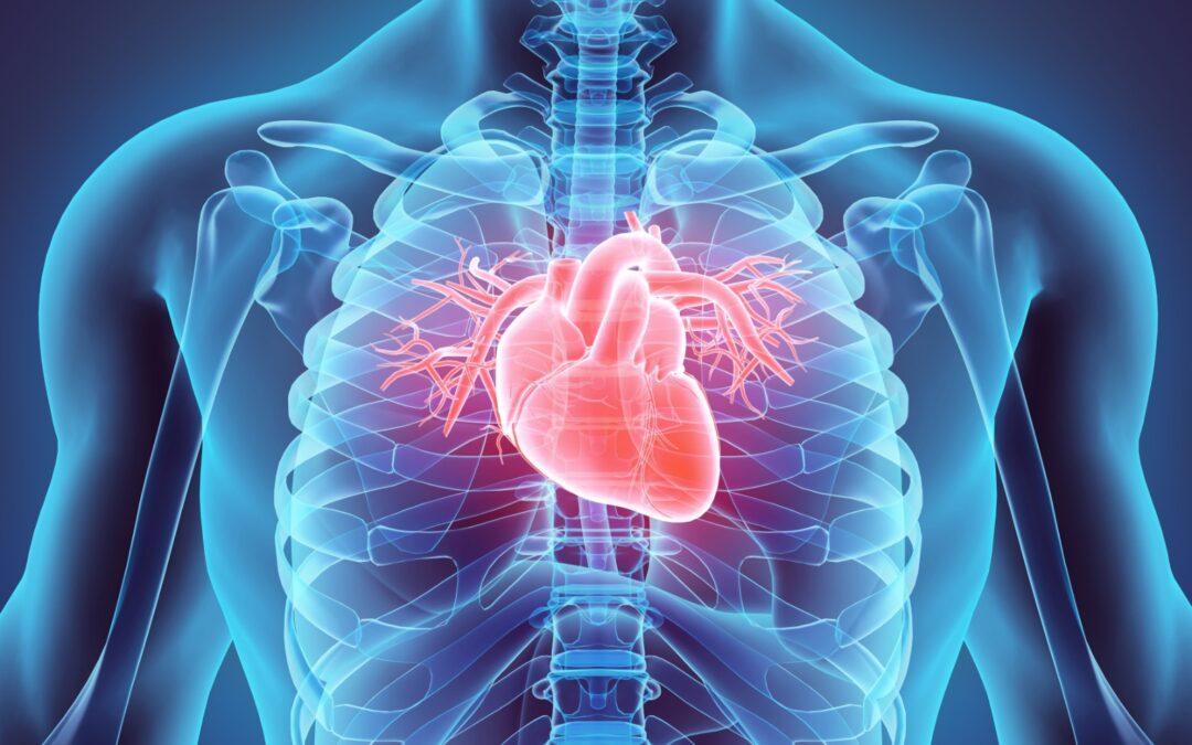 ハートの波動は♾️（無限大）~クラニオアドバンストレーニング②