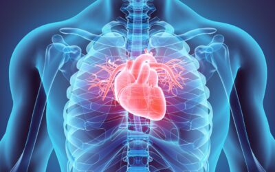 ハートの波動は♾️(無限大)~クラニオアドバンストレーニング②