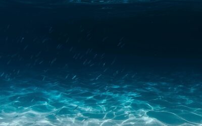 クラニオセッションの体験談〜大転倒後のクラニオセッション