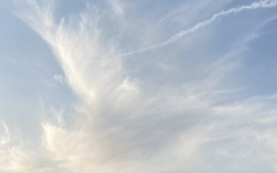 新しいコミュニケーションをはじめる　期間限定セッション特別価格