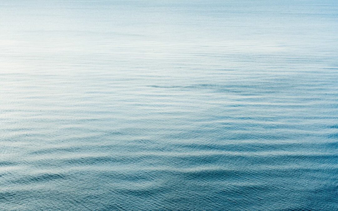 クラニオセイクラル・バイオダイナミクスとクラニオセイクラルセラピーとの違い