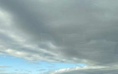 快感も不快感もどっちも ー身体とつながるー