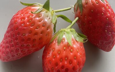 その意味はあるの?ー身体とつながるの意味