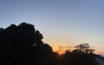 安心安全な場とはー身体とつながる・インナーフィールドー